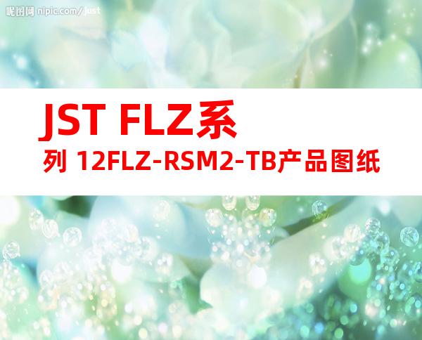 JST FLZ系列 12FLZ-RSM2-TB产品图纸